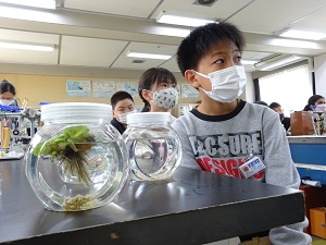 学校ブログ | 名崎小学校